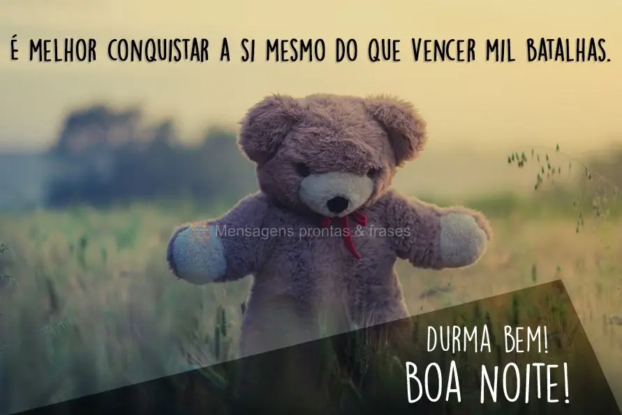É melhor conquistar a si mesmo do que vencer mil batalhas. Durma bem! Boa Noite!