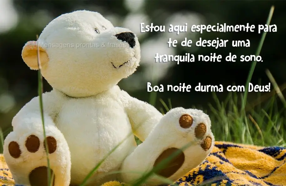Estou aqui especialmente para te desejar uma tranquila noite de sono. Boa noite. Durma com Deus!
