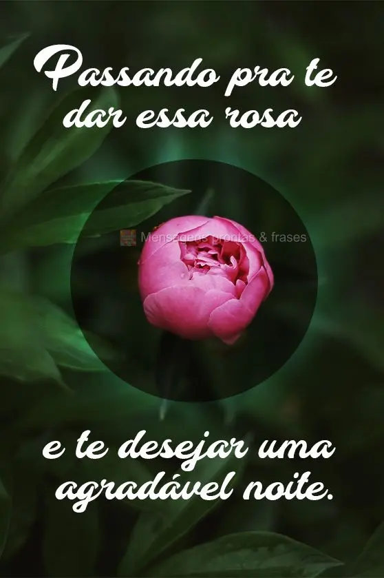 Passando para te dar essa rosa e  desejar uma agradável  noite.