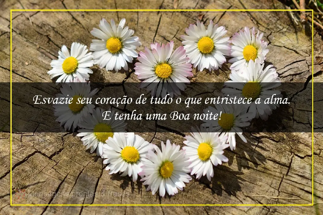 Esvazie seu coração de tudo o que entristece a alma.  E tenha uma boa noite!