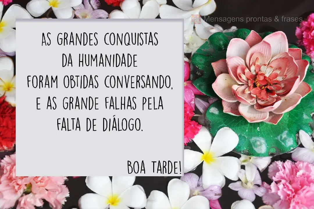 As grandes conquistas da humanidade foram obtidas conversando, e as grandes falhas pela falta de diálogo. Boa Tarde!
