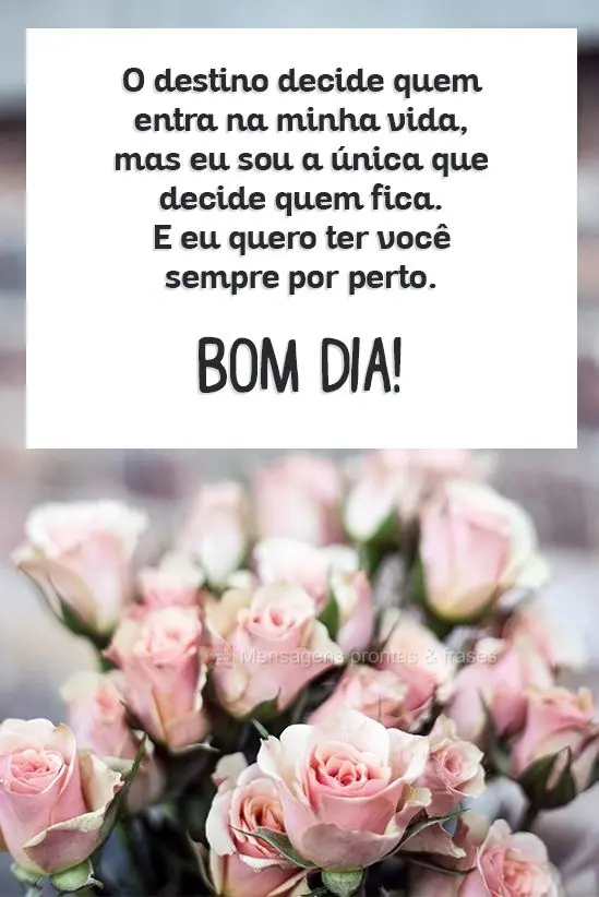 Bom dia! Bom dia!