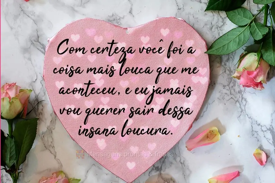 Com certeza você foi a coisa mais louca que me aconteceu, e eu jamais vou querer sair dessa insana loucura.