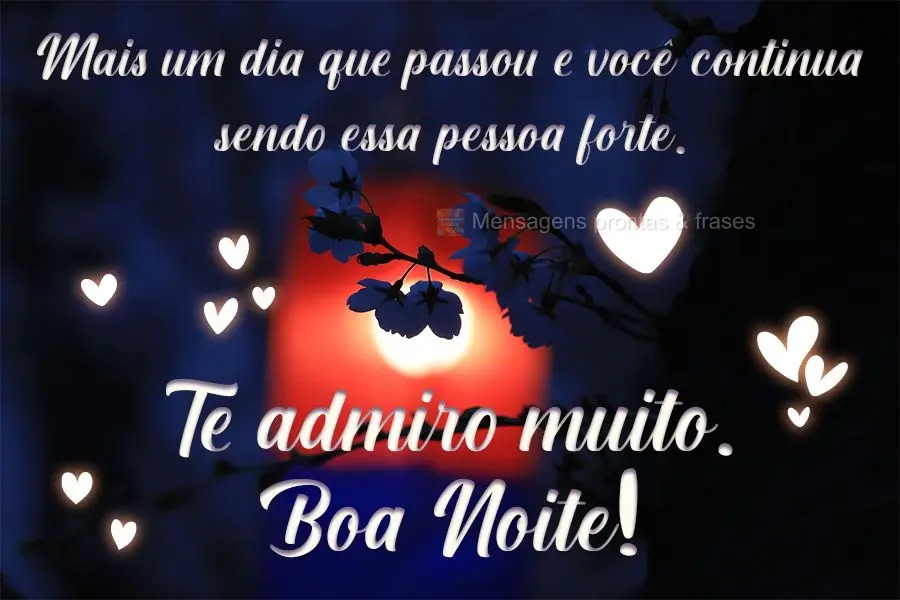 Mais um dia que passou e você continua sendo essa pessoa forte. Te admiro muito. Boa Noite!