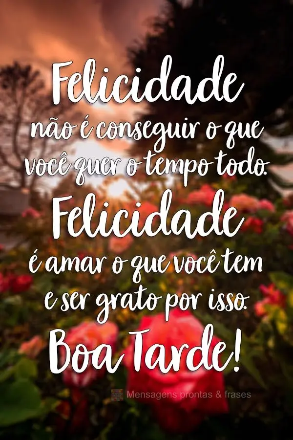 Felicidade não é conseguir o que você quer o tempo todo. Felicidade é amar o que você tem e ser grato por isso.
  Boa Tarde!