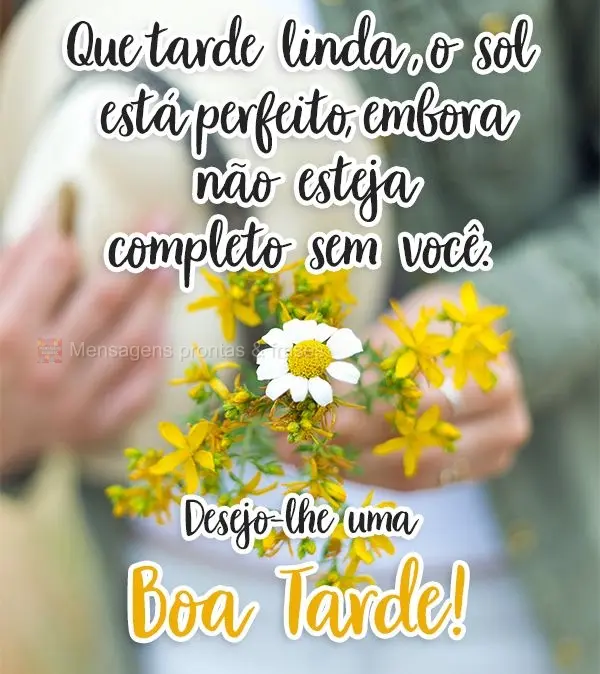 Que tarde linda! O sol está perfeito, embora não esteja completo sem você. Desejo-lhe uma  Boa Tarde!
