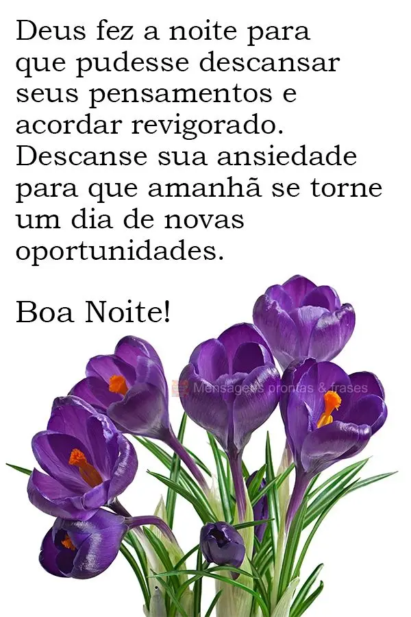 Deus fez a noite para que pudesse descansar seus pensamentos e acordar revigorado. Descanse sua ansiedade para que amanhã  se torne um dia de novas opor...