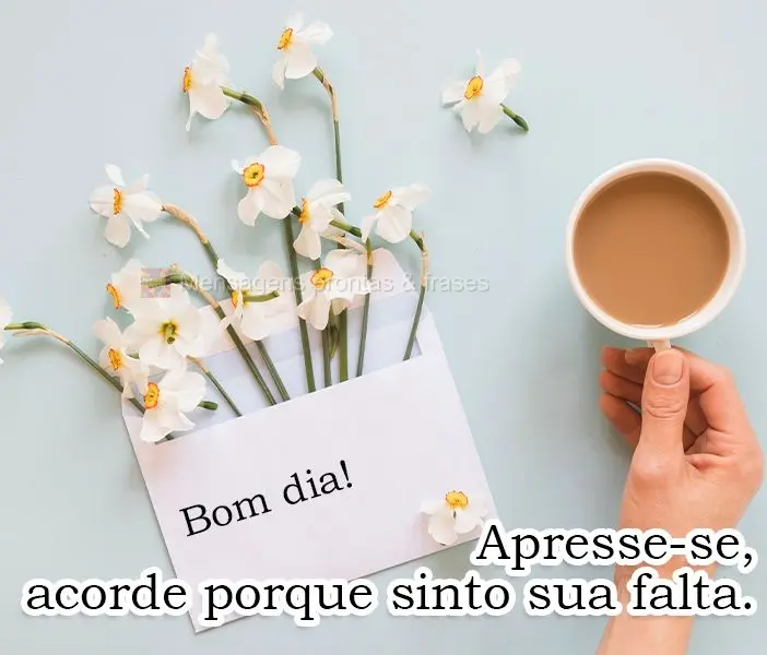 Apresse-se, acorde! Porque sinto sua falta.  Bom dia!