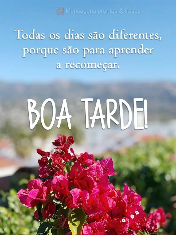 Todos os dias são diferentes, porque são para aprender a recomeçar.  Boa Tarde!