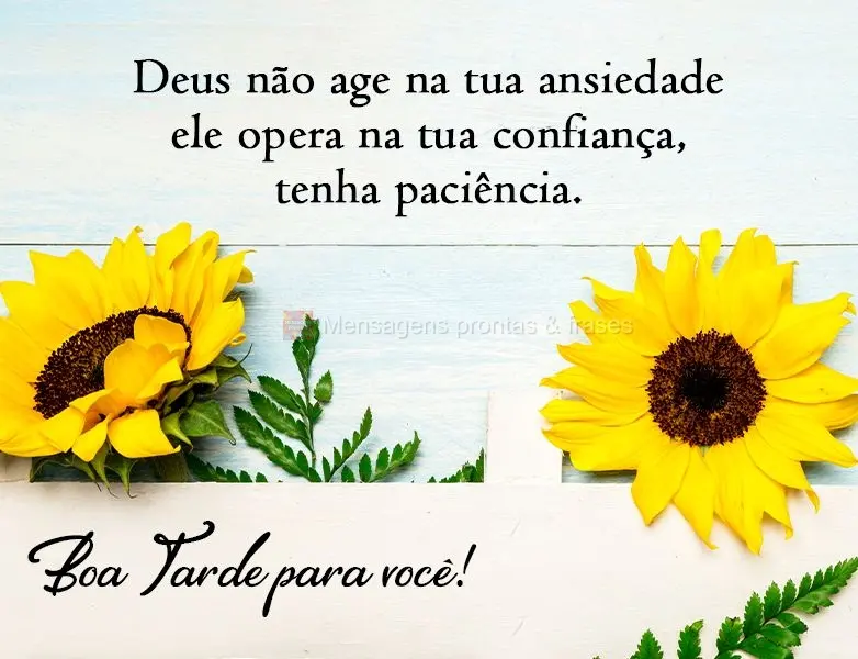 Deus não age na tua ansiedade, Ele opera na tua confiança, tenha paciência!
 Boa Tarde para você!