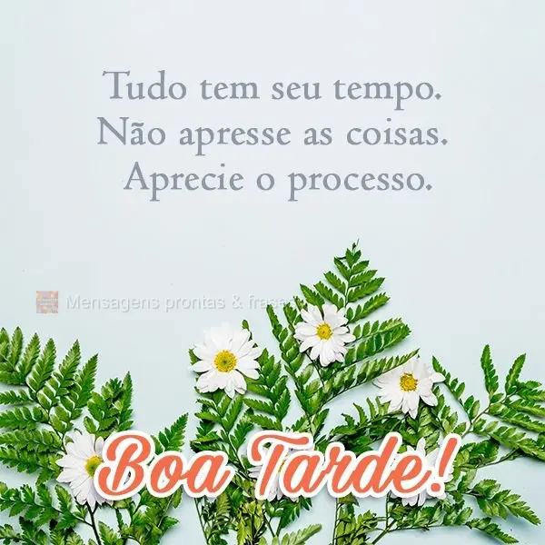 Tudo tem seu tempo. Não apresse as coisas. Aprecie o processo.  Boa Tarde!