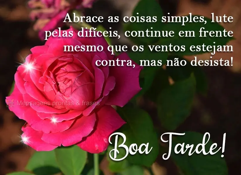 Abrace as coisas simples, lute pelas difíceis, continue em frente mesmo que os ventos estejam contra, mas não desista! 
 Boa Tarde!