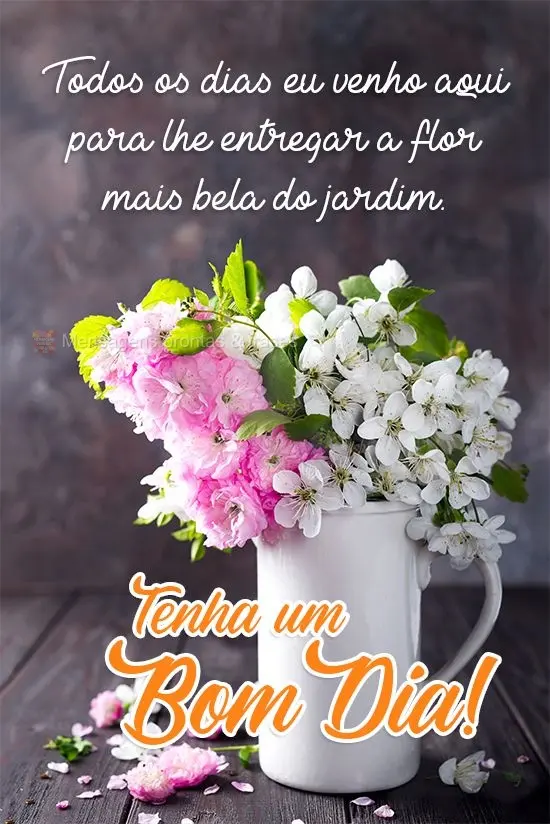 Todos os dias eu venho aqui para lhe entregar a flor mais bela do jardim. 
 Tenha um Bom Dia!