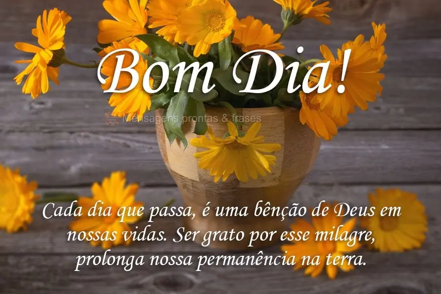 Cada dia que passa é uma bênção de Deus em nossas vidas. Ser grato por esse milagre, prolonga nossa permanência na terra.
 Bom Dia! 