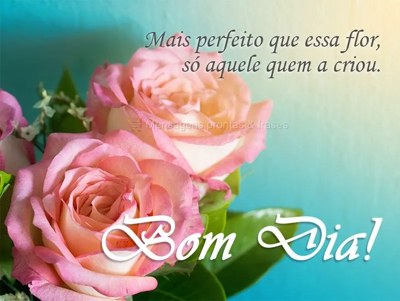 Mais perfeito que essa flor, só aquele que a criou. 
 Bom dia!