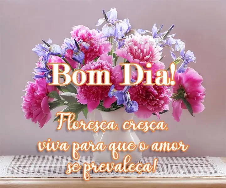 Floresça, cresça, viva para que o amor se prevaleça! 
 Bom dia! 