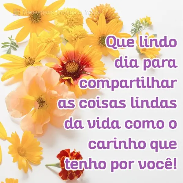 Que dia lindo para compartilhar as coisas lindas da vida, como o carinho que tenho por você!
