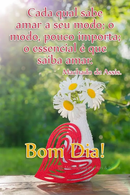 Cada qual sabe amar a seu modo; o modo, pouco importa; o essencial é que saiba amar. 
 Bom dia! Machado de Assis. 