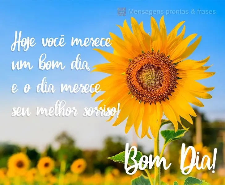 Hoje você merece um bom dia, e o dia merece seu melhor sorriso!
  Bom Dia!
