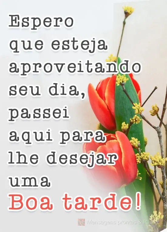 Espero que esteja aproveitando seu dia, passei aqui para lhe desejar uma... 
 Boa tarde!