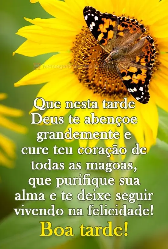 Que nesta tarde Deus te abençoe grandemente e cure teu coração de todas as mágoas, que purifique sua alma e te deixe seguir vivendo na felicidade!
 ...