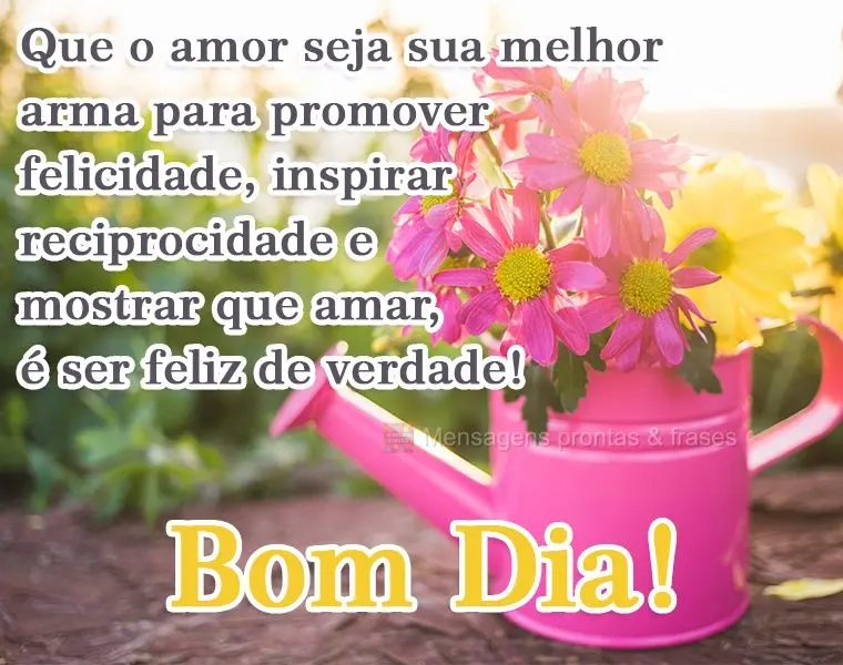 Que o amor seja sua melhor arma para promover felicidade, inspirar reciprocidade e mostrar que amar é ser feliz de verdade! 
 Bom Dia! 