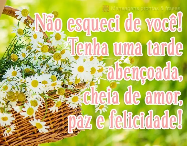 Não esqueci de você! Tenha uma tarde abençoada, cheia de amor, paz e felicidade!

