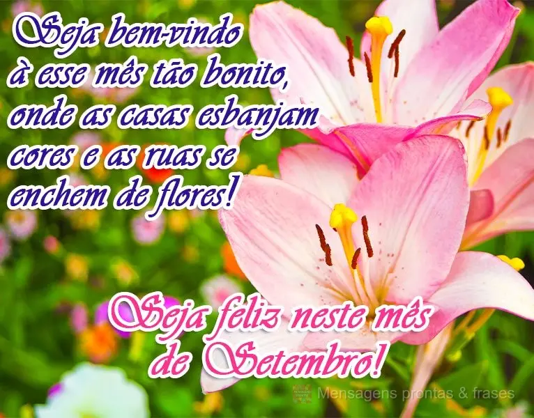 Seja bem-vindo a esse mês tão bonito, onde as casas esbanjam cores e as ruas se enchem de flores!  Seja feliz neste mês de Setembro!