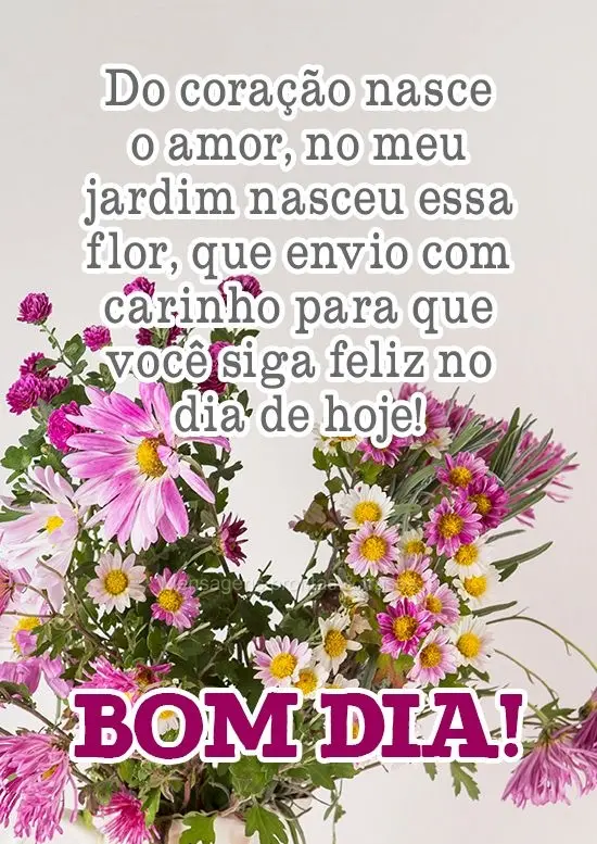 Do coração nasce o amor, do meu jardim nasceu essa flor, que envio com carinho para que você siga feliz no dia de hoje! 
 Bom Dia!