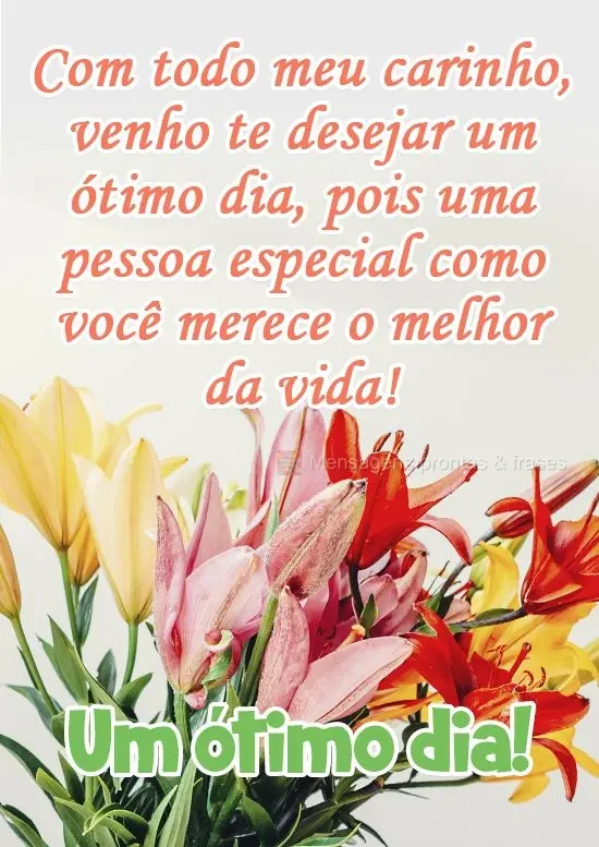 Com todo meu carinho, venho te desejar um ótimo dia, pois uma pessoa especial como você merece o melhor da vida!
 Um ótimo dia!