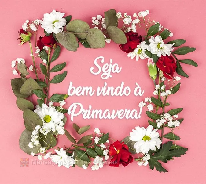 Seja bem-vindo à Primavera!
