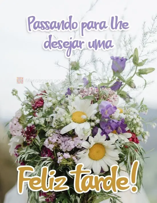 Passando para lhe desejar uma Feliz tarde!

