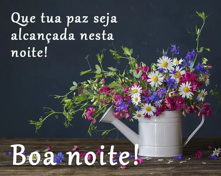 Que tua paz seja alcançada nesta noite! 
 Boa noite!