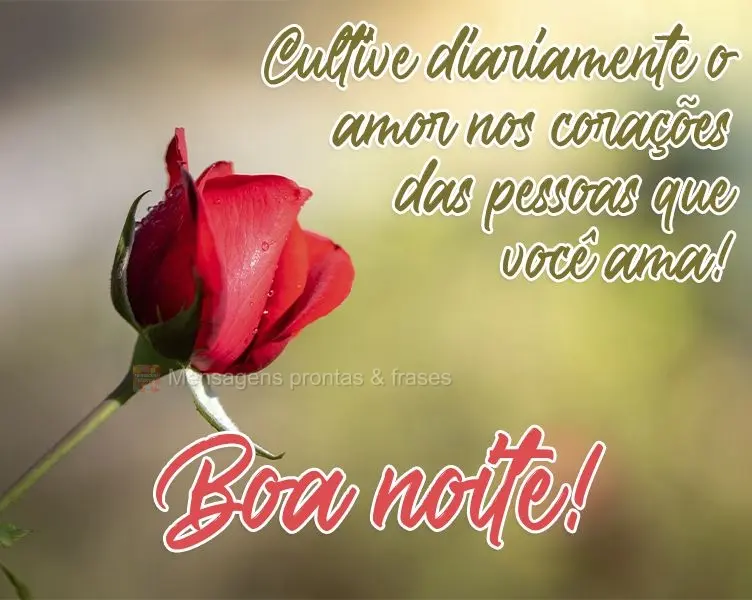 Cultive diariamente o amor nos corações das pessoas que você ama! 
 Boa noite!