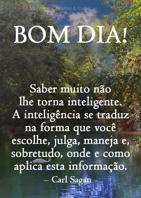 Saber muito não lhe torna inteligente. A inteligência se traduz na forma que você escolhe, julga, maneja e, sobretudo, onde e como aplica esta informa...