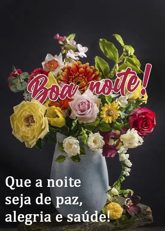 Que a noite seja de paz, alegria e saúde! 
 Boa noite! 