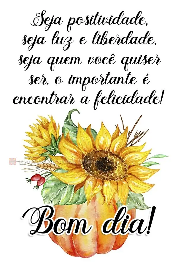 Seja positividade, seja luz e liberdade. Seja quem você quiser ser, o importante é encontrar a felicidade!  Bom dia!