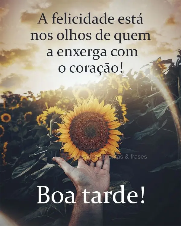 A felicidade está em quem a enxerga com o coração!  Boa tarde!