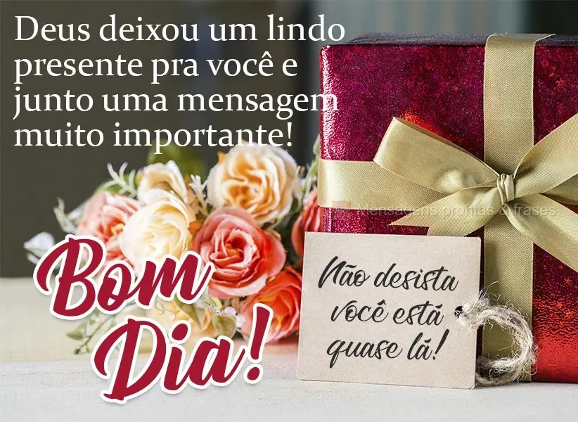 Deus deixou um lindo presente pra você e, junto, uma mensagem muito importante! Não desista, você está quase lá!  Bom dia!