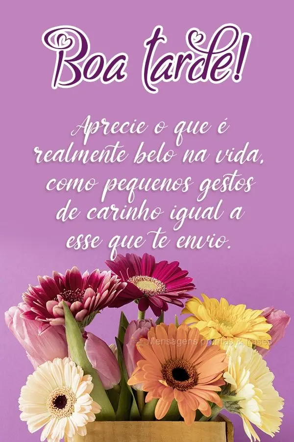 Aprecie o que é realmente belo na vida, como gestos de carinho igual a esse que te envio. Boa tarde! 