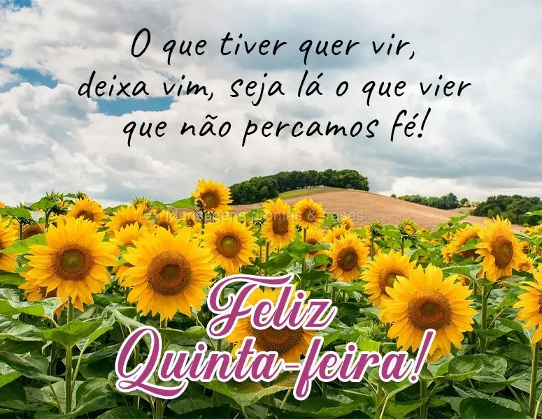 O que tiver quer vir, deixa vir. Seja lá o que vier, que não percamos a fé!  Feliz Quinta-feira!