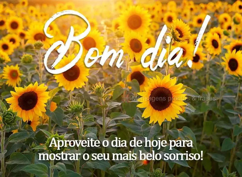 Aproveite o dia de hoje para mostrar o seu mais belo sorriso! Bom dia! 