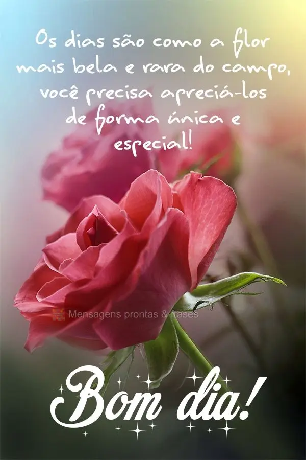 Os dias são como a flor mais bela e rara do campo, você precisa apreciá-los de forma única e especial!  Bom dia!