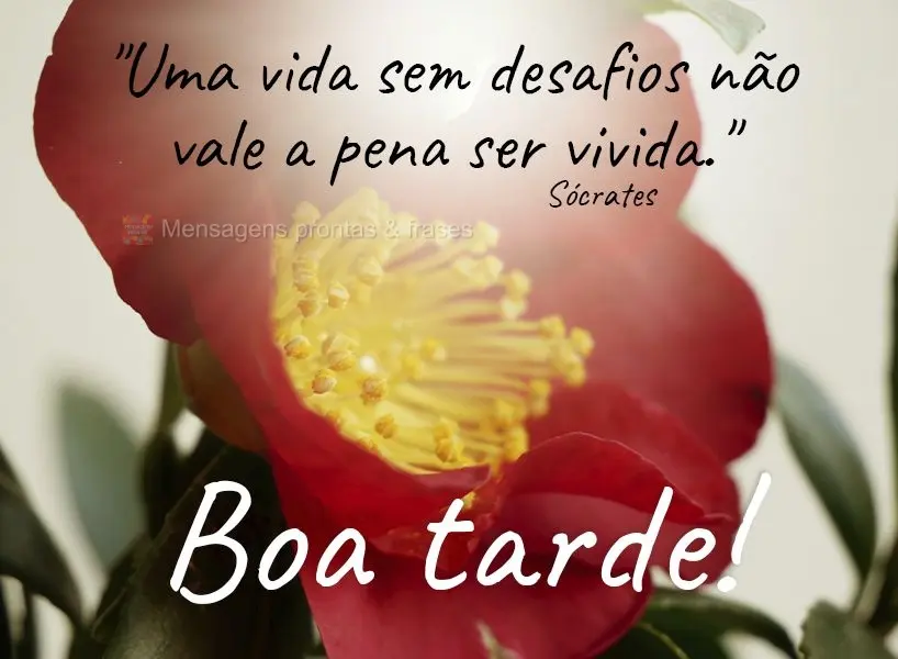"Uma vida sem desafios não vale a pena ser vivida."  Boa tarde!  Sócrates