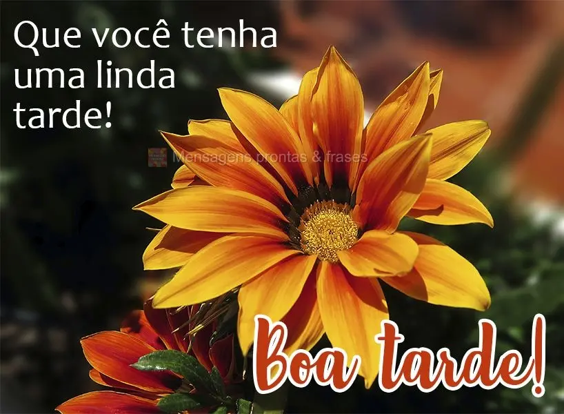 Que você tenha uma linda tarde! Boa tarde! 