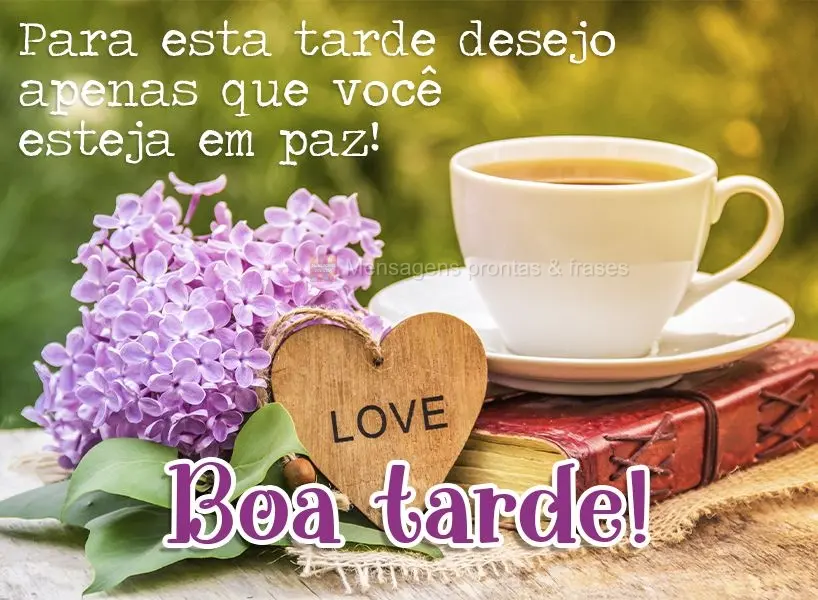 Para esta tarde desejo apenas que você esteja em paz!  Boa tarde!
