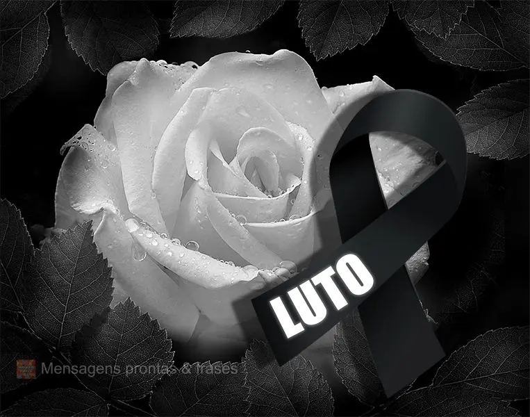 LUTO