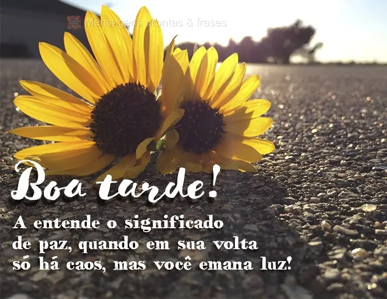 A gente entende o significado de paz, quando em sua volta só há caos, mas você emana luz! Boa tarde!