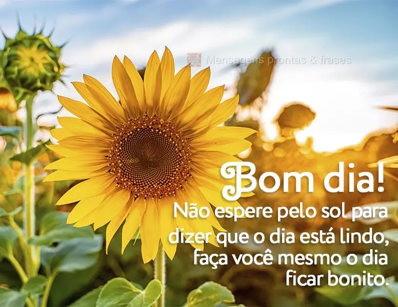 Não espere pelo sol para dizer que o dia está lindo. Faça você mesmo o dia ficar bonito. Bom dia!