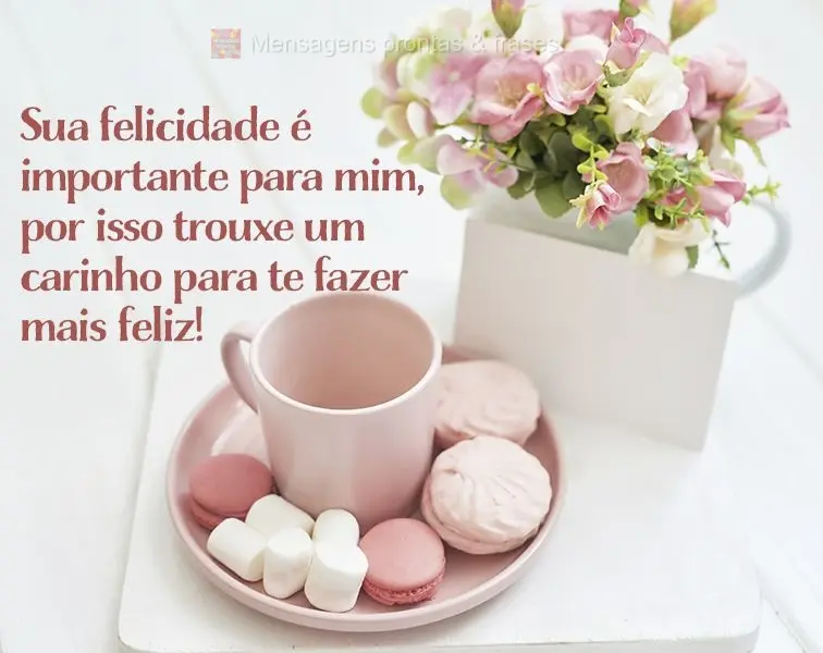 Sua felicidade é importante para mim, por isso trouxe um carinho pra te fazer mais feliz!